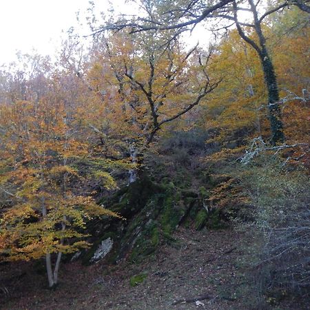 Alojamiento Rural Fuente Del Arca Pradena del Rincon Екстериор снимка